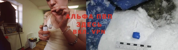 стаф Арсеньев