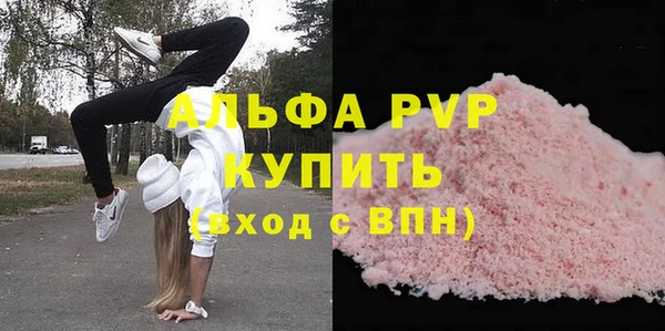 стаф Арсеньев