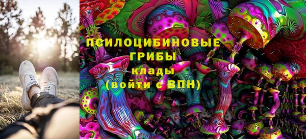 ECSTASY Аркадак