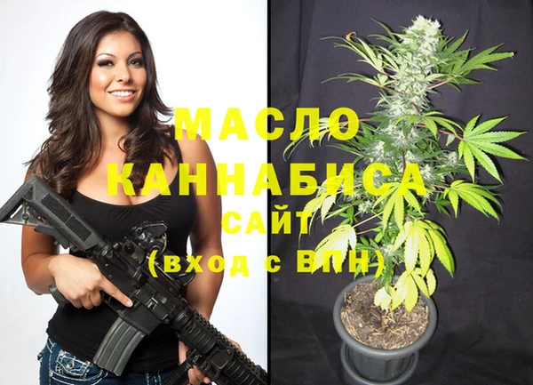 мет Няндома