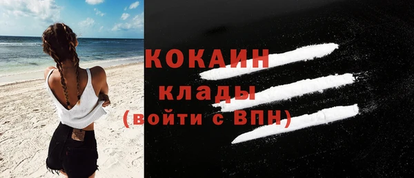 стаф Арсеньев